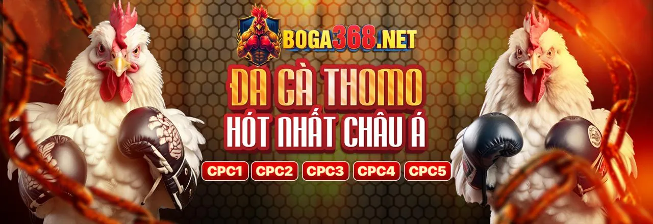 Hình ảnh Chương trình VIP ta888 casino với các đặc quyền sang trọng