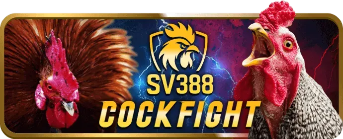 Giao dịch nhanh chóng tại TA888 Casino